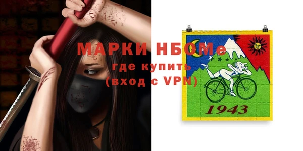 гашик Верея