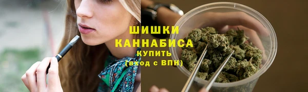 гашик Верея