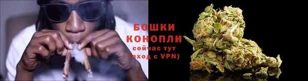 гашик Верея