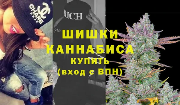 гашик Верея