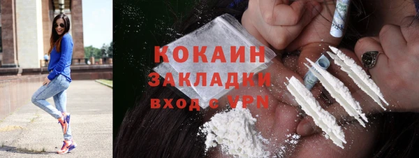 гашик Верея