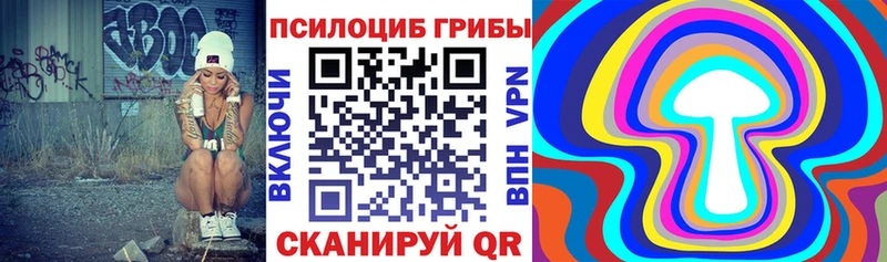 Купить  Суровикино  Псилоцибиновые грибы прущие грибы 